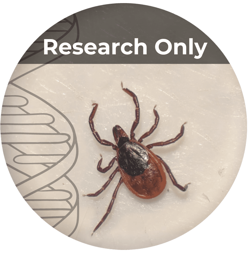 Research Only Tick Submission Lyme Disease Tick Testing Research Only Tick Submission Lyme Disease Tick Testing
